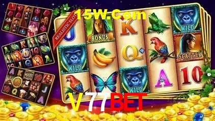 V77Bet Salvador - Promo Stats